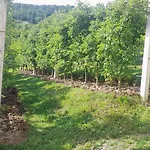 Za Odmor Plivska Jezera Casa vacanze Jajce