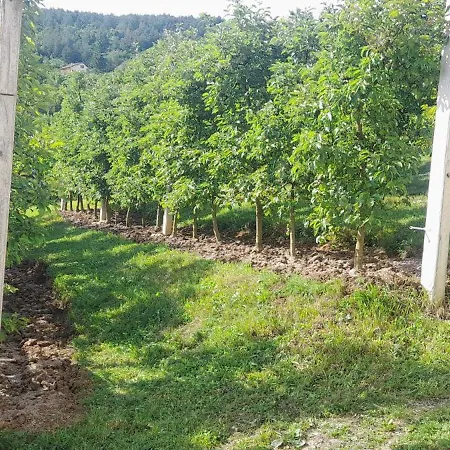 Kuca Za Odmor Plivska Jezera Nyaraló Jajca