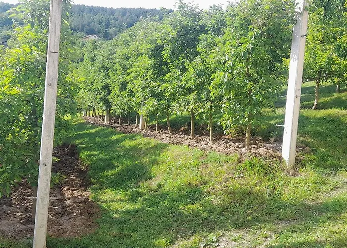 Za Odmor Plivska Jezera Holiday home Jajce